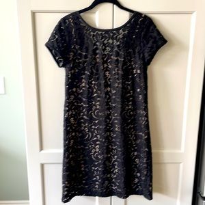 NWT Black lace and cream slip dress.  Size 6P